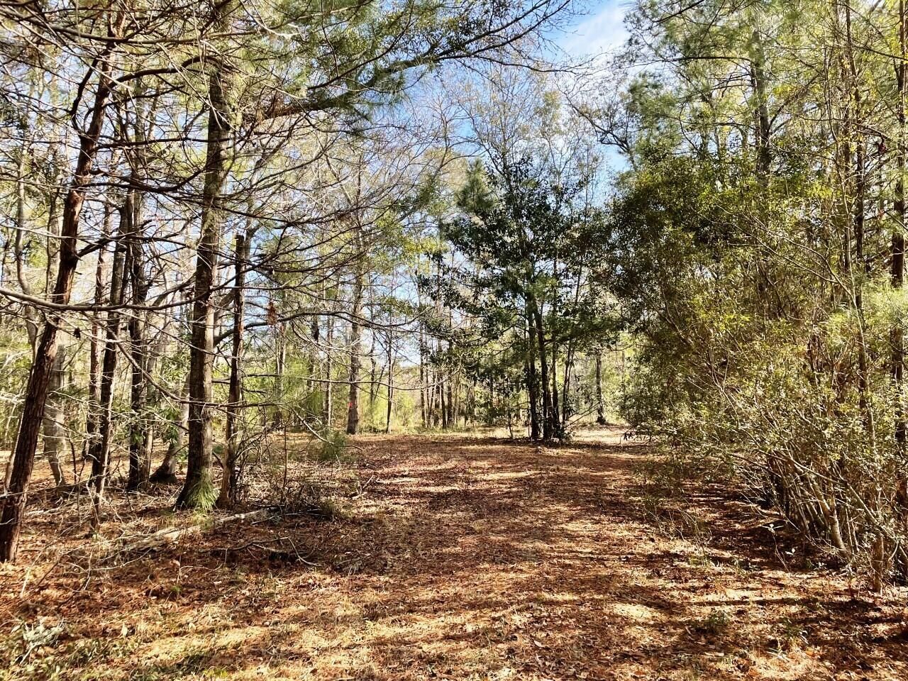 2043 Bohicket Road Photo 6