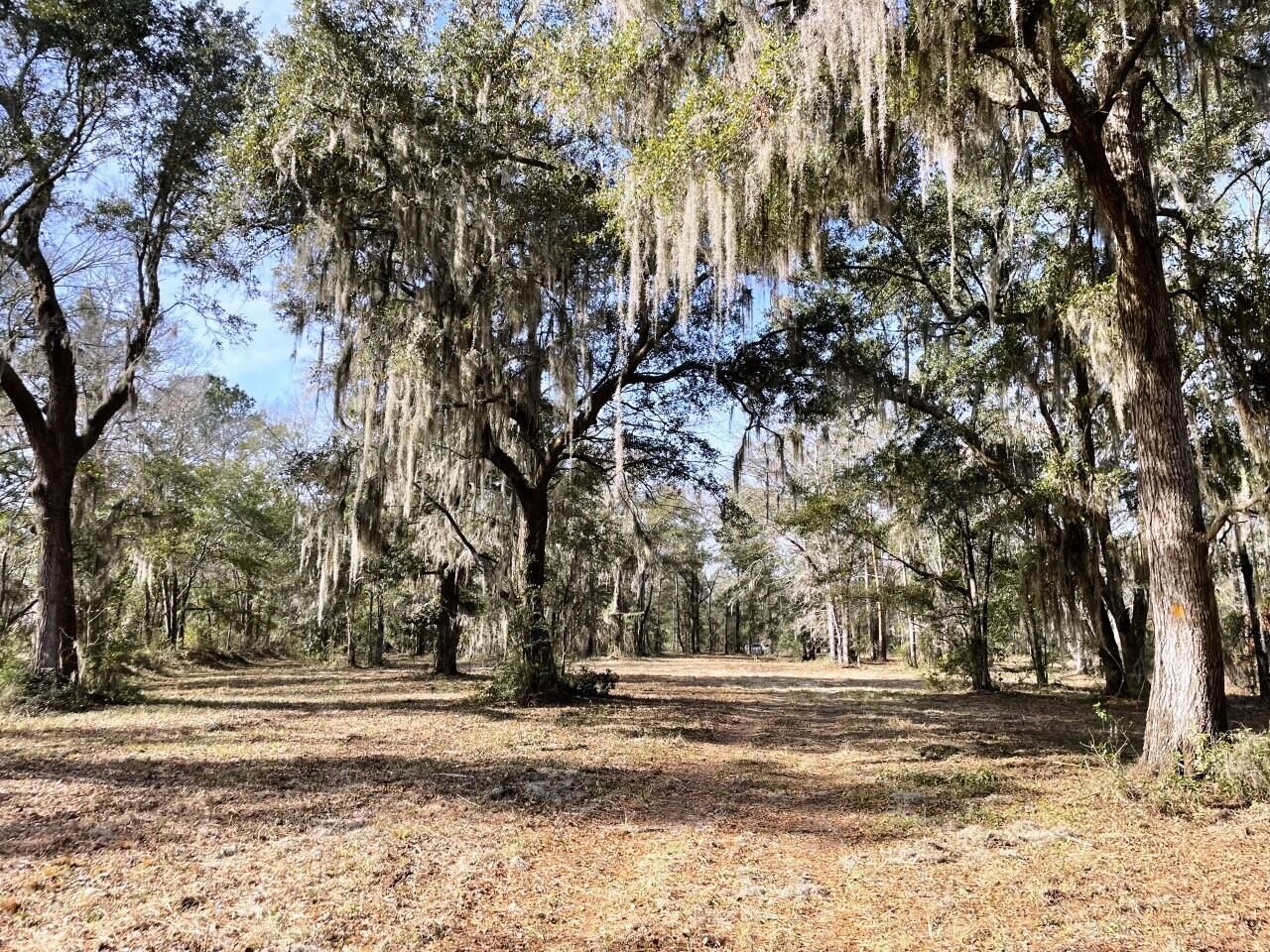 2043 Bohicket Road Photo 7