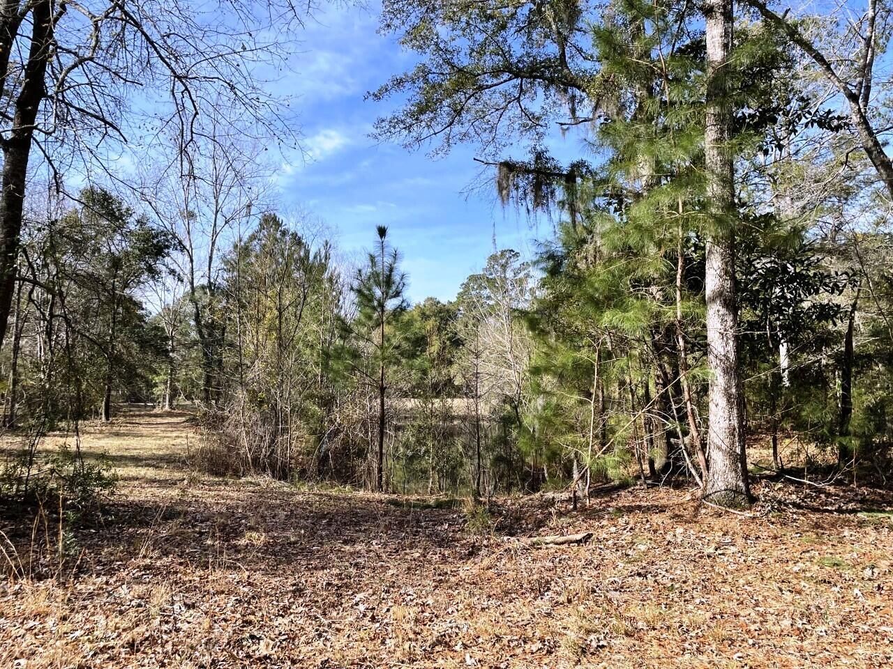 2043 Bohicket Road Photo 8