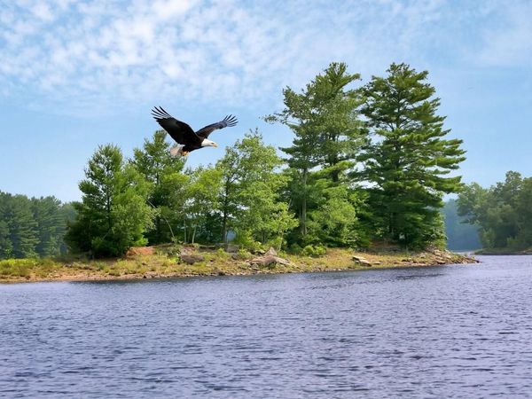 Whispering Woods Drive, Mongaup Valley, NY 12762