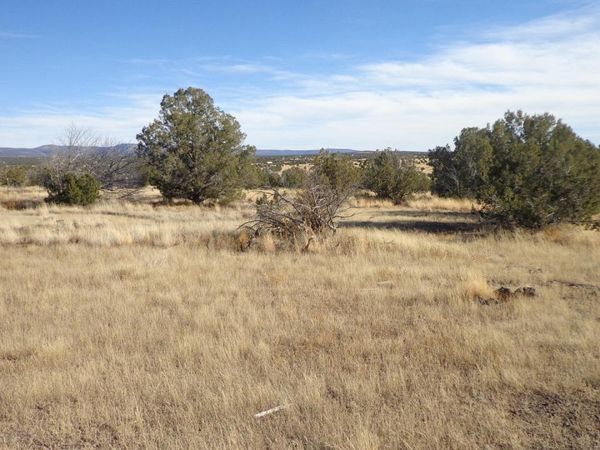 00 N Trackside Trail Lane, Unit 211, Ash Fork, AZ 86320