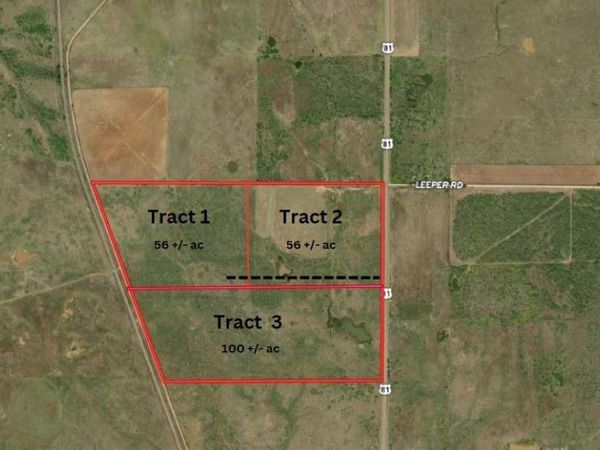 TBD Tract 3 Hwy 81 Road, Ringgold, TX 76261