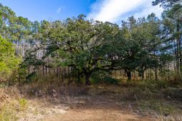 112 Wright Lane photo 4