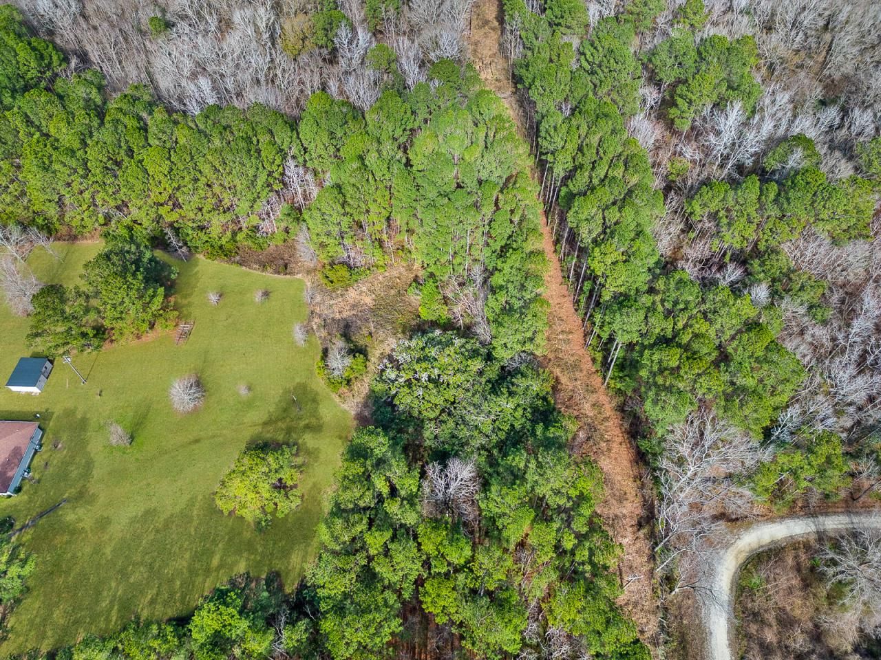 112 Wright Lane Photo 3