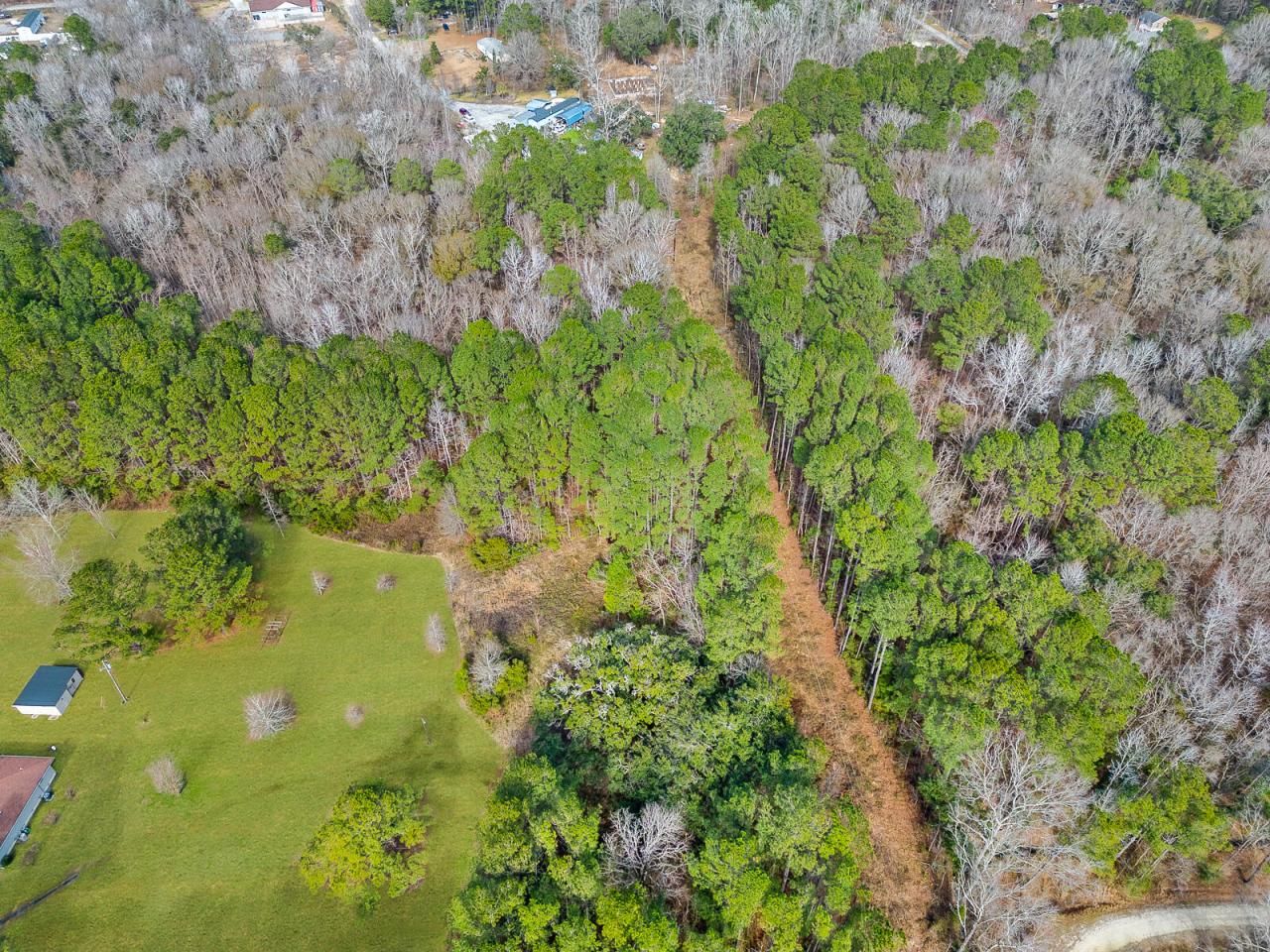 112 Wright Lane Photo 4