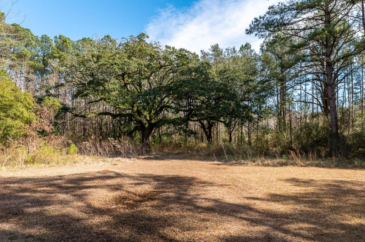 112 Wright Lane Photo 5