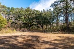 112 Wright Lane photo 4