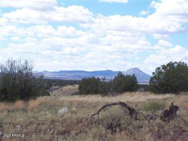 996 W Couchman's Trail, Unit 204, Ash Fork, AZ 86320