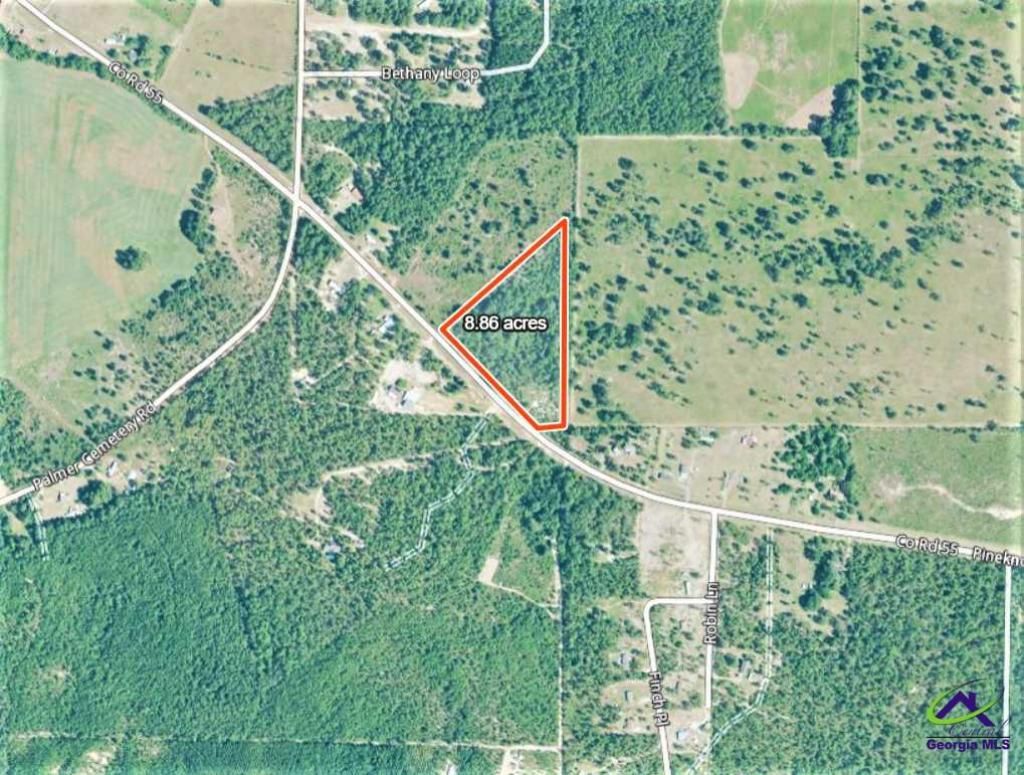 0 Pine Knot Road, Mauk, GA 31058 Main Photo