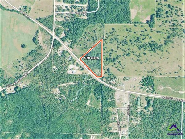 0 Pine Knot Road, Mauk, GA 31058