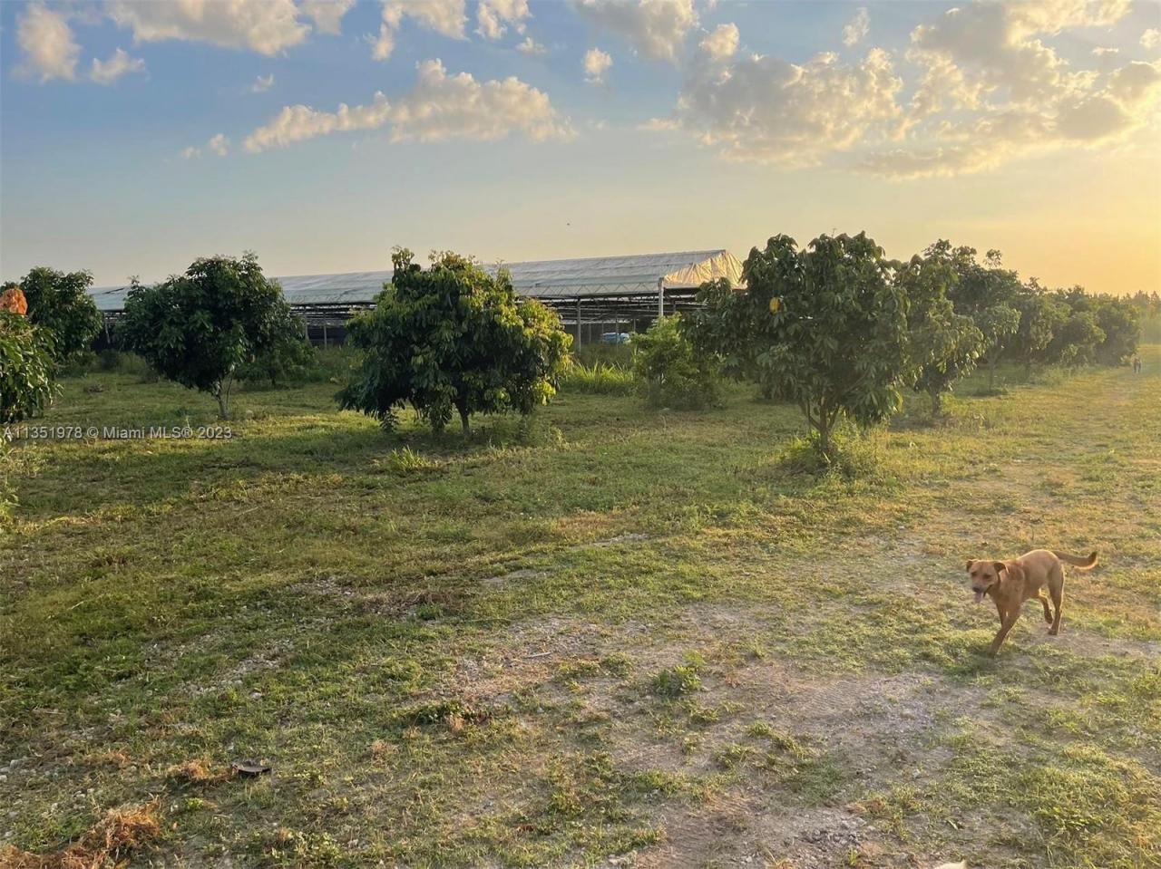 17801 SW 197 Ave, Miami, FL 33187 Photo