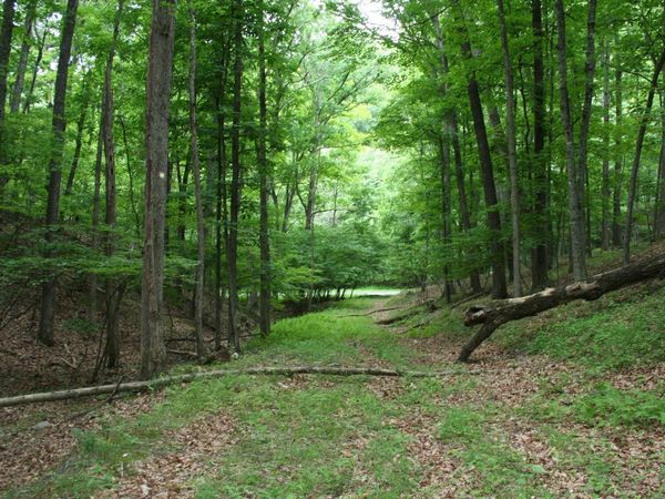 20 HIGH VALLEY SOUTH, Unit 20V, MONTEREY, VA 24465