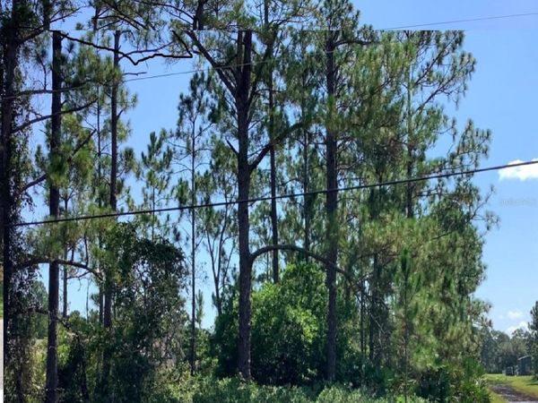 CAESAR AVENUE, ORLANDO, FL 32833