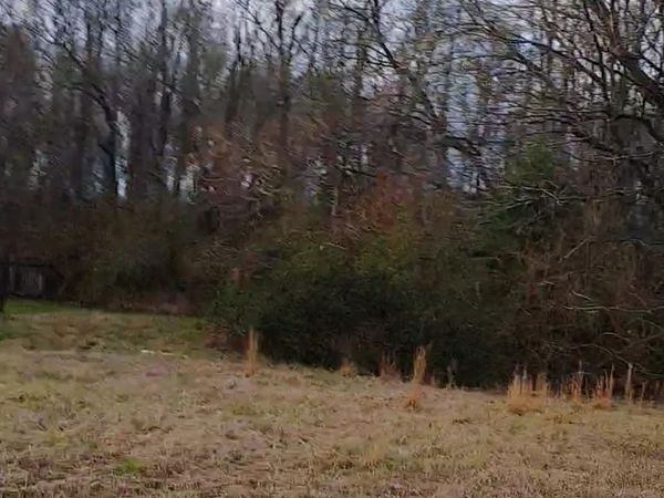 Lot 111 El Scott Ave, Baton Rouge, LA 70811