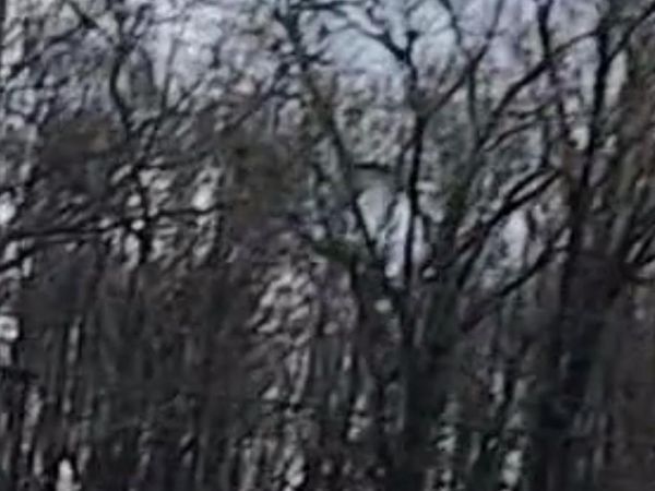 Lot 65 Odessa Dr, Baton Rouge, LA 70811