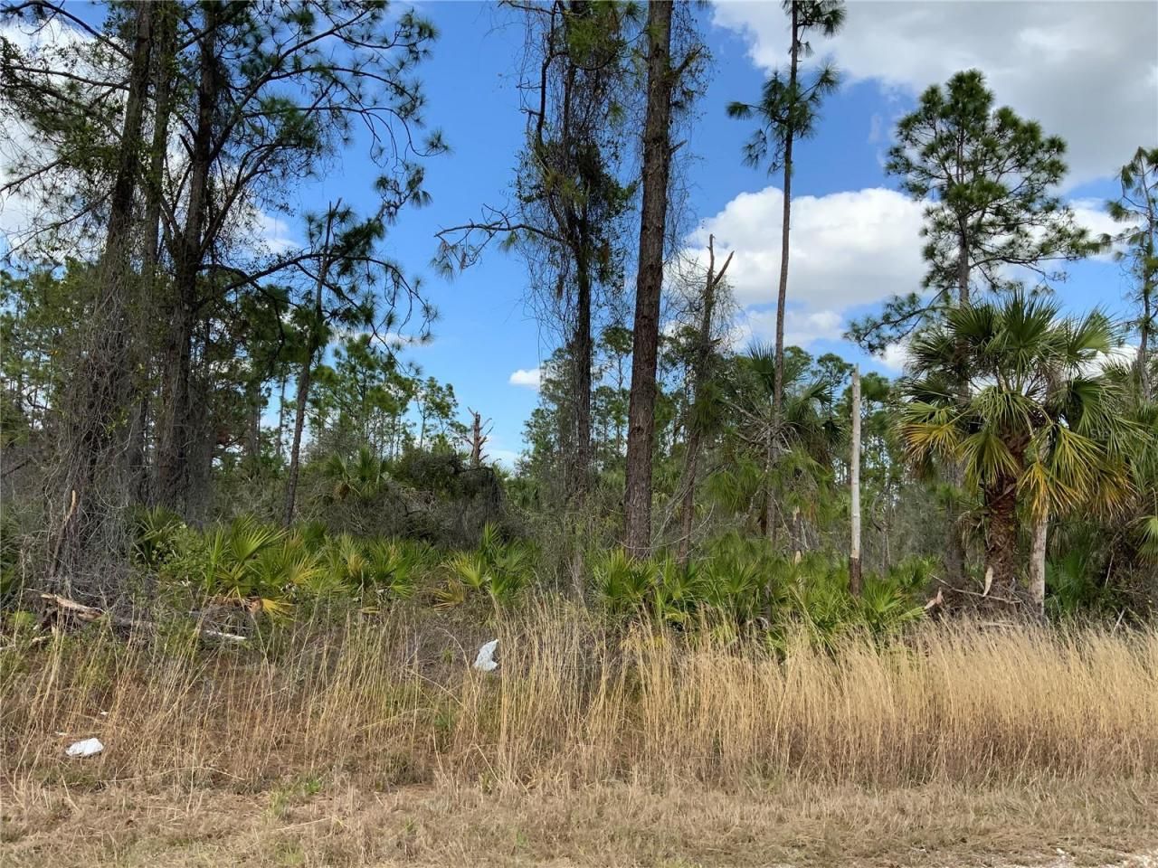 4219 E 30th Street, Alva, FL 33920 Photo