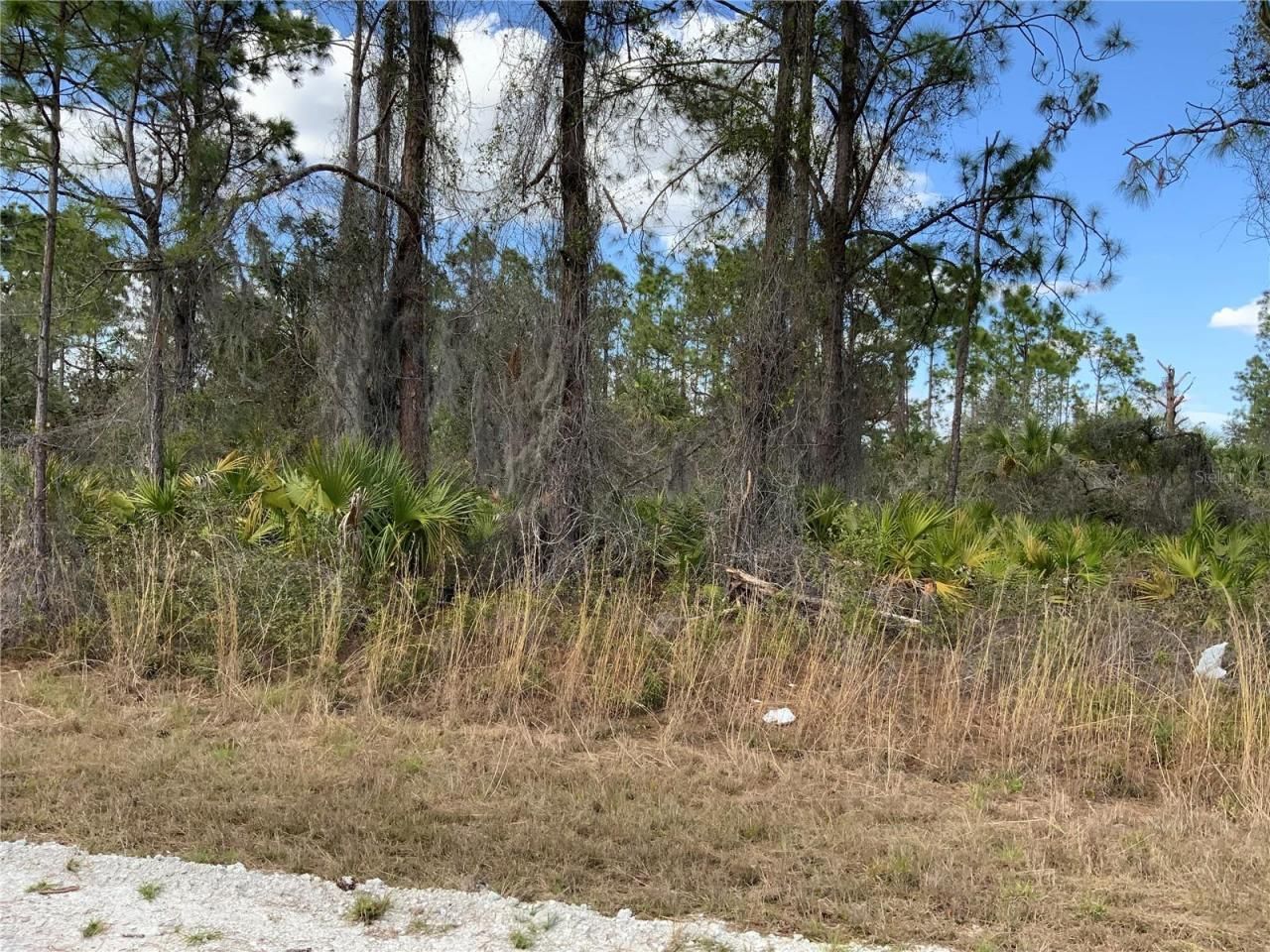 4219 E 30th Street, Alva, FL 33920 Photo