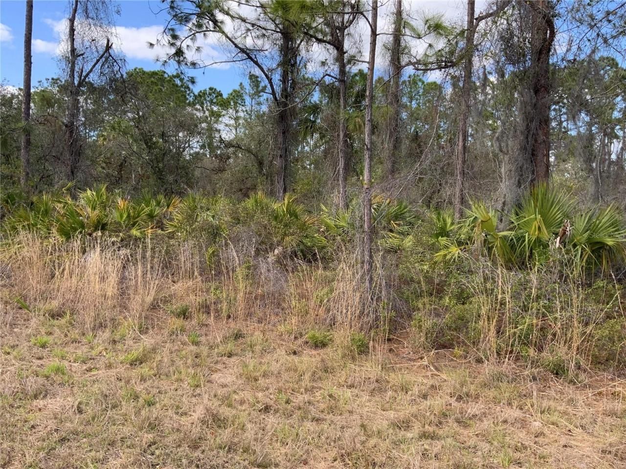 4219 E 30th Street, Alva, FL 33920 Photo