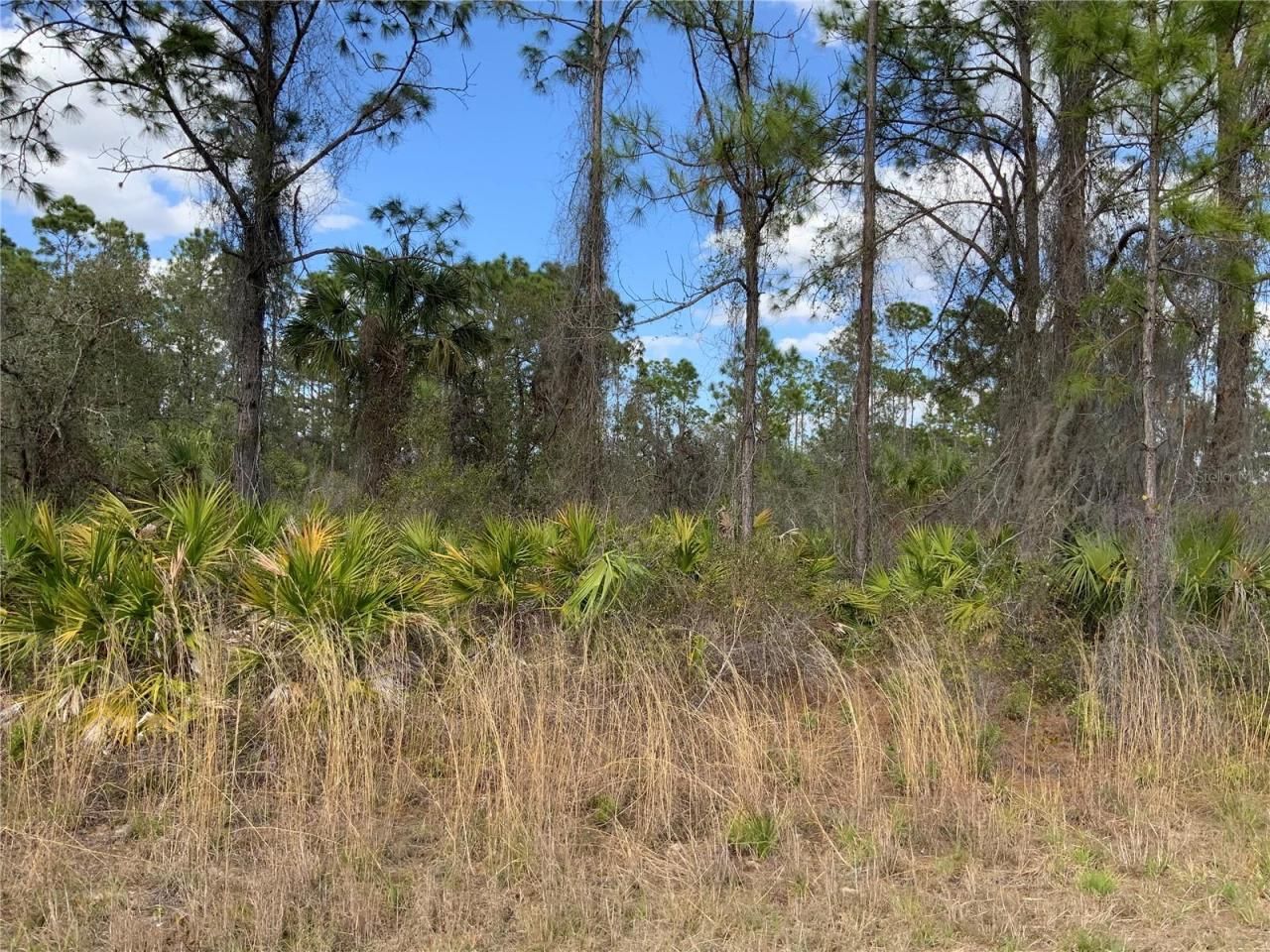 4219 E 30th Street, Alva, FL 33920 Photo