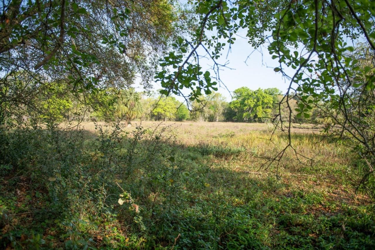 2650 Missouri Avenue, Saint Cloud, FL 34769 Photo