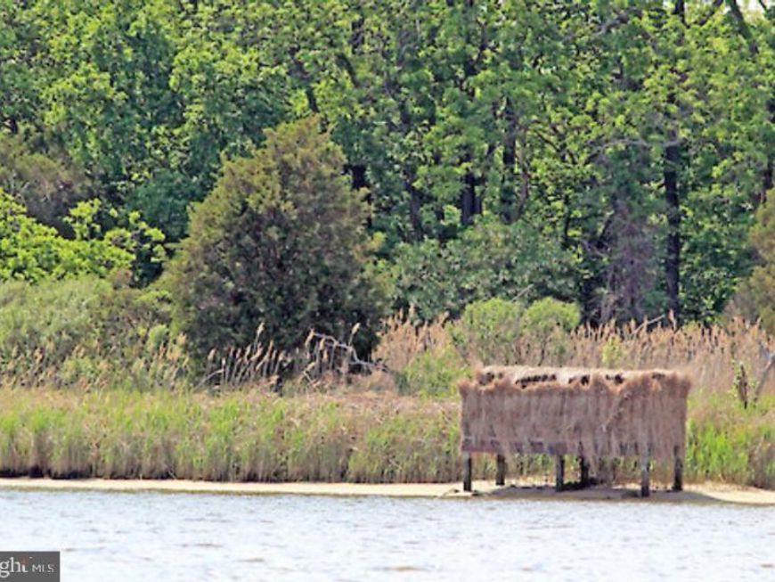 3336 Marsh Road, Ewell, MD 21824 Main Photo