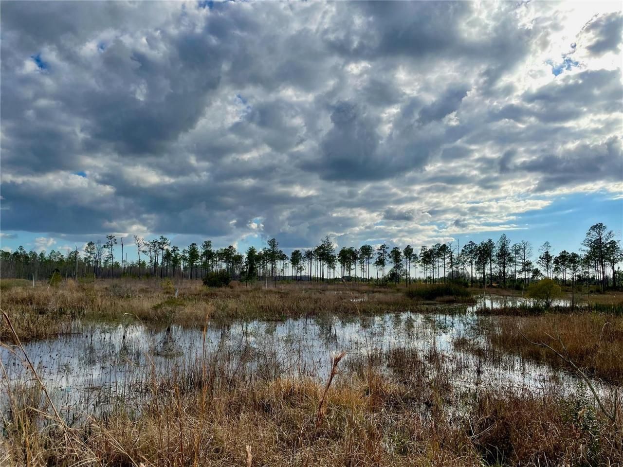 19858 State Road 52, Land O Lakes, FL 34637 Photo