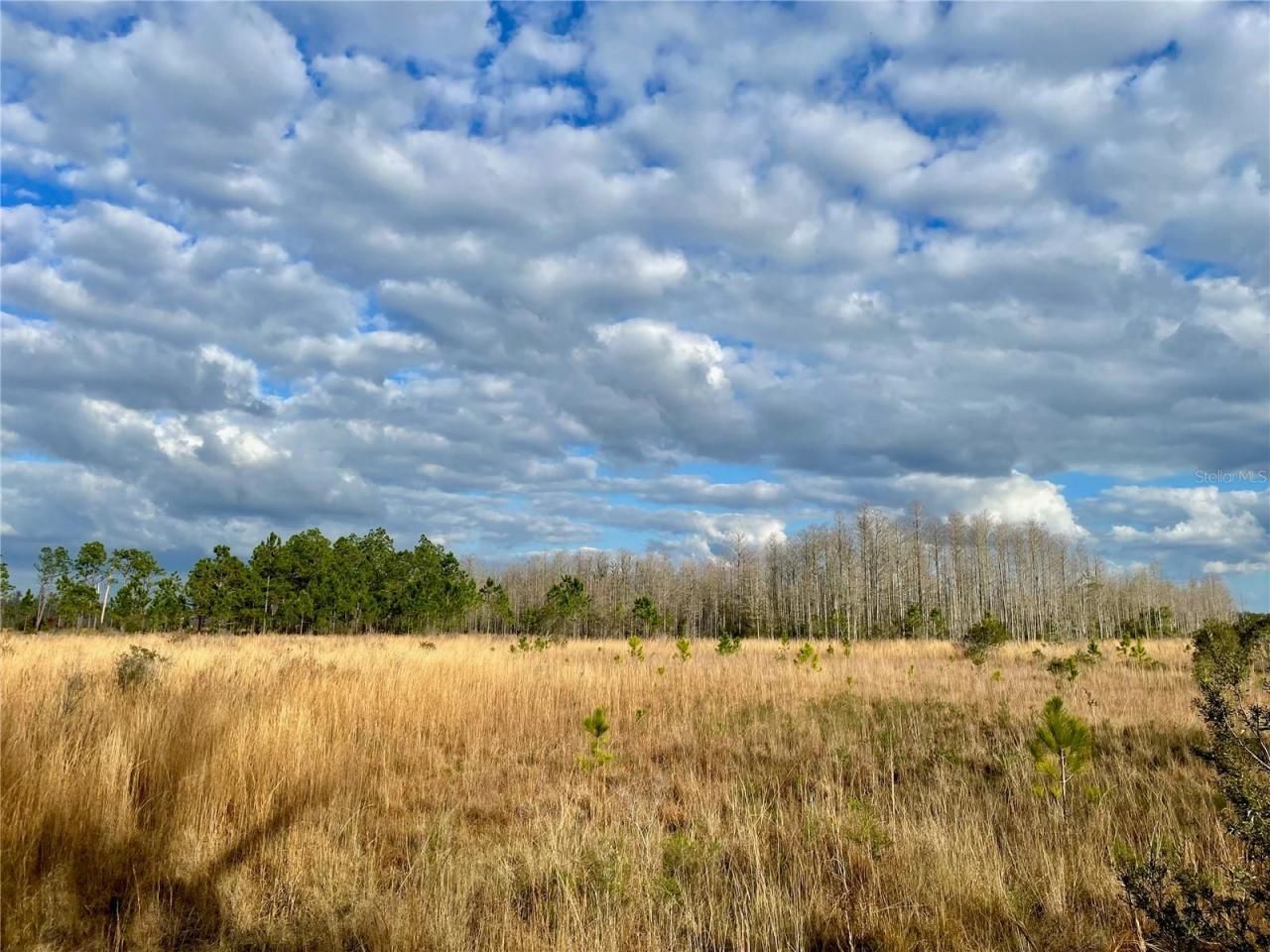 19858 State Road 52, Land O Lakes, FL 34637 Photo