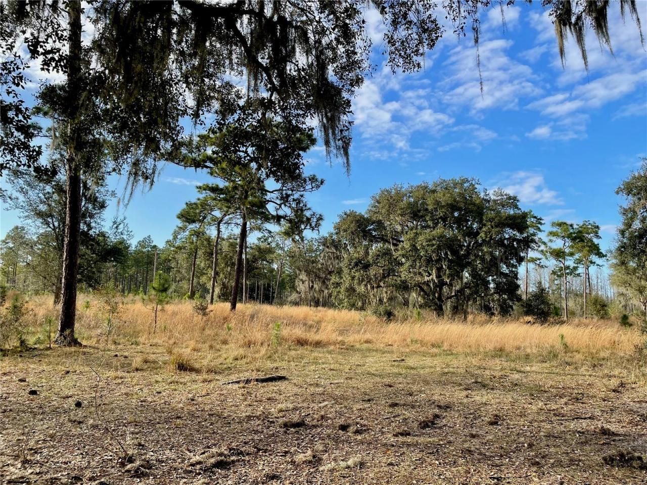 19858 State Road 52, Land O Lakes, FL 34637 Photo