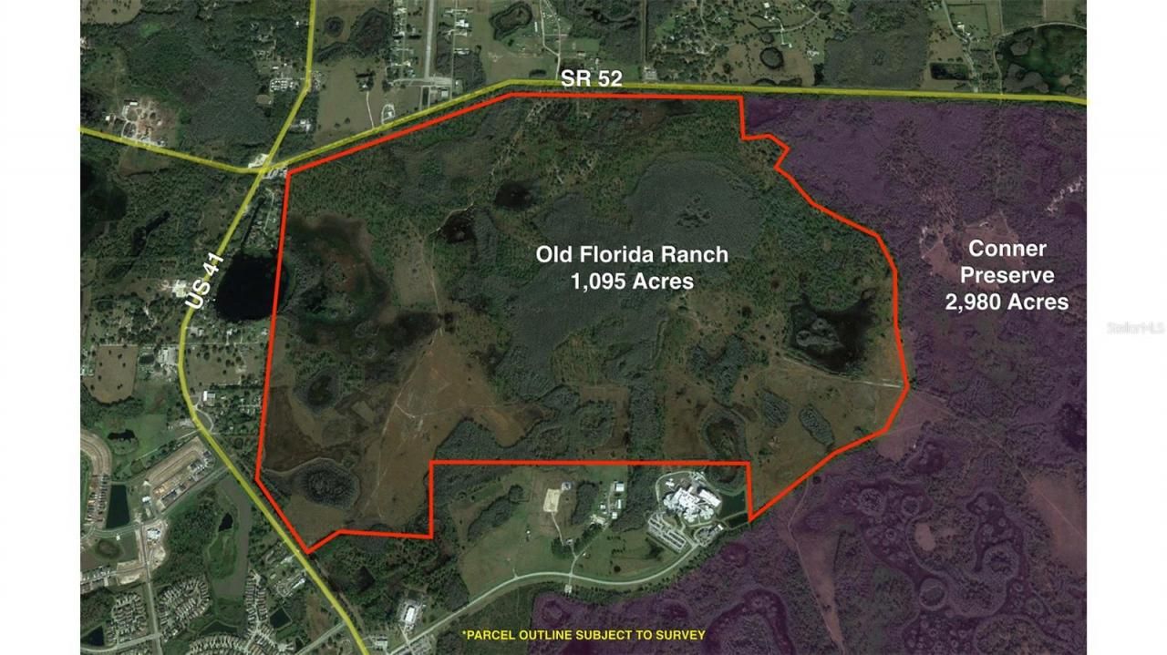 19858 State Road 52, Land O Lakes, FL 34637 Photo