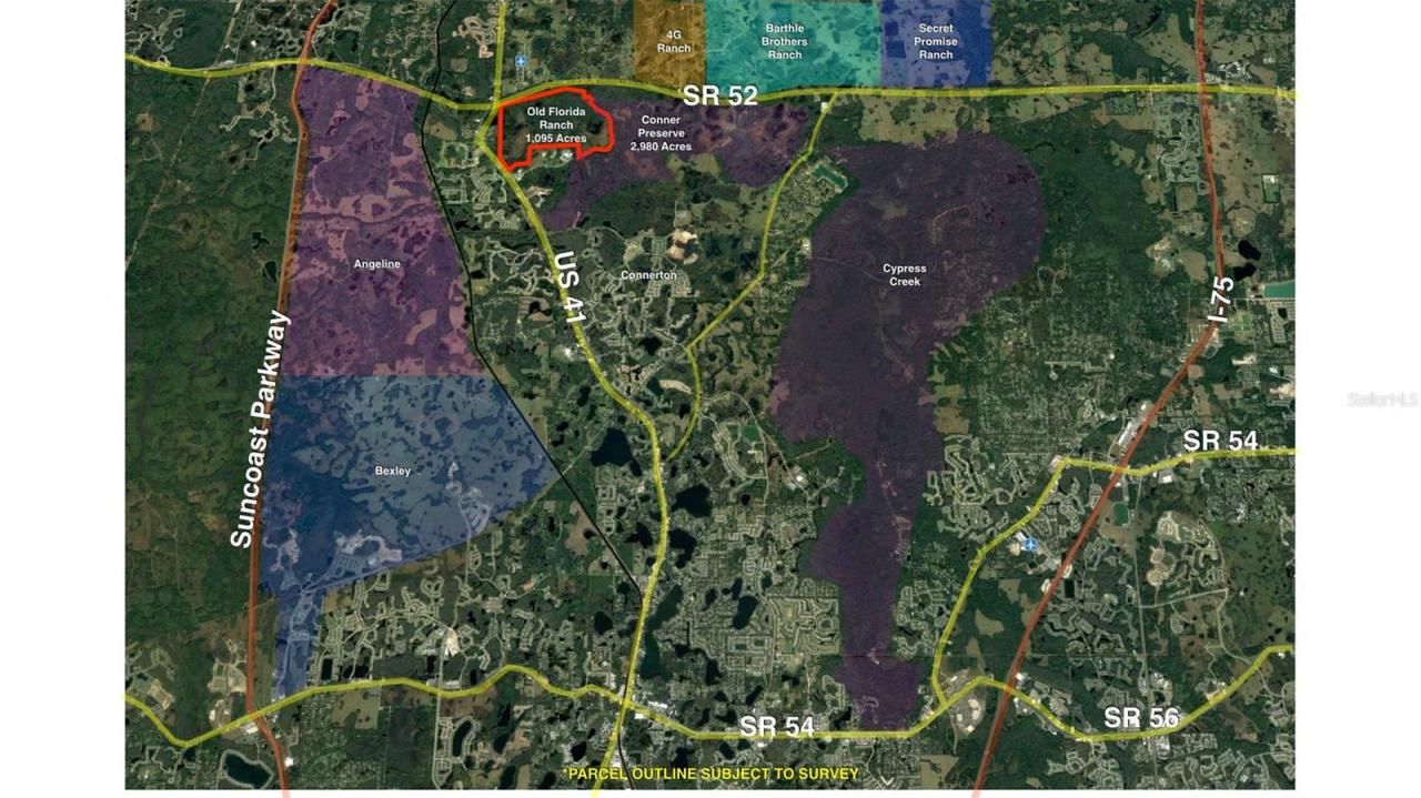 19858 State Road 52, Land O Lakes, FL 34637 Photo