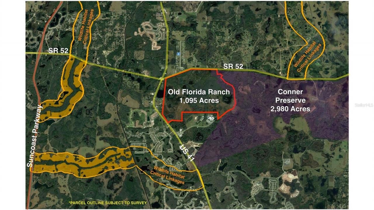 19858 State Road 52, Land O Lakes, FL 34637 Photo