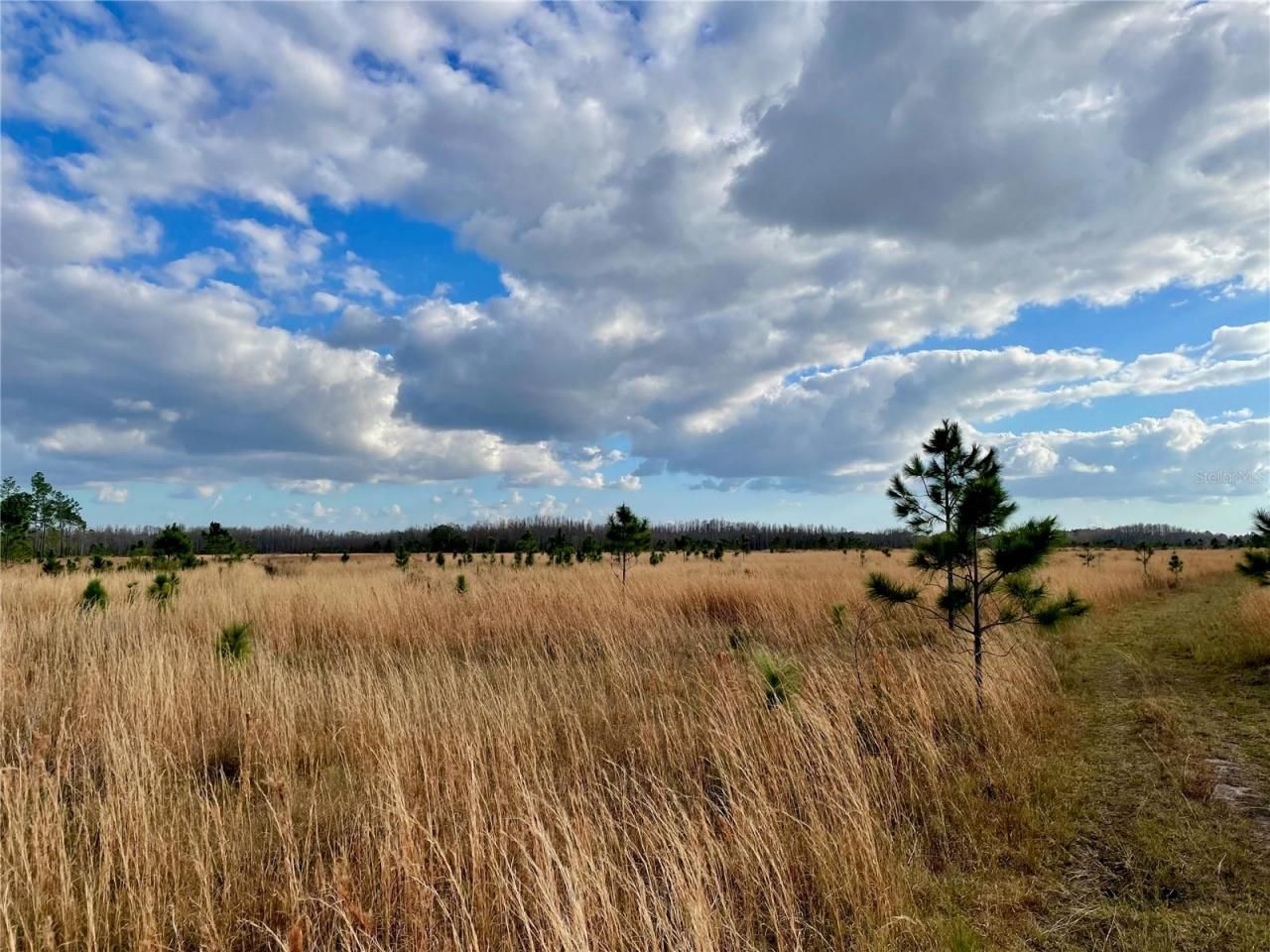 19858 State Road 52, Land O Lakes, FL 34637 Photo