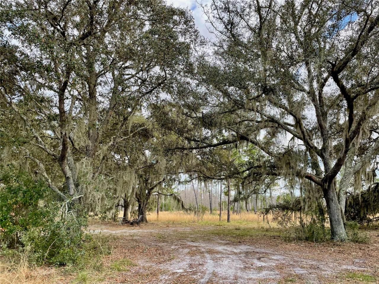 19858 State Road 52, Land O Lakes, FL 34637 Photo