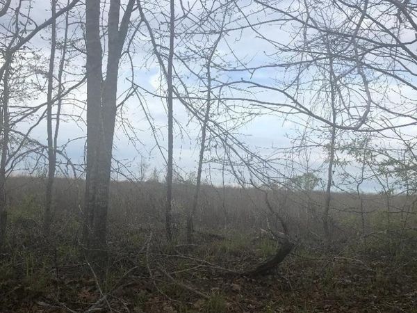 0 Crabapple Drive, Hawkinsville, GA 31036