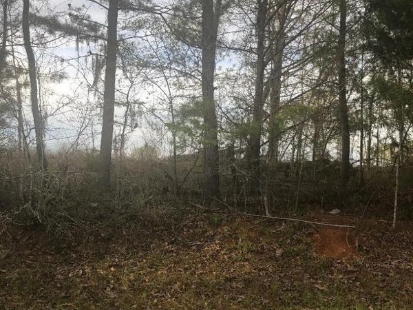 0 Crabapple Drive, Hawkinsville, GA 31036