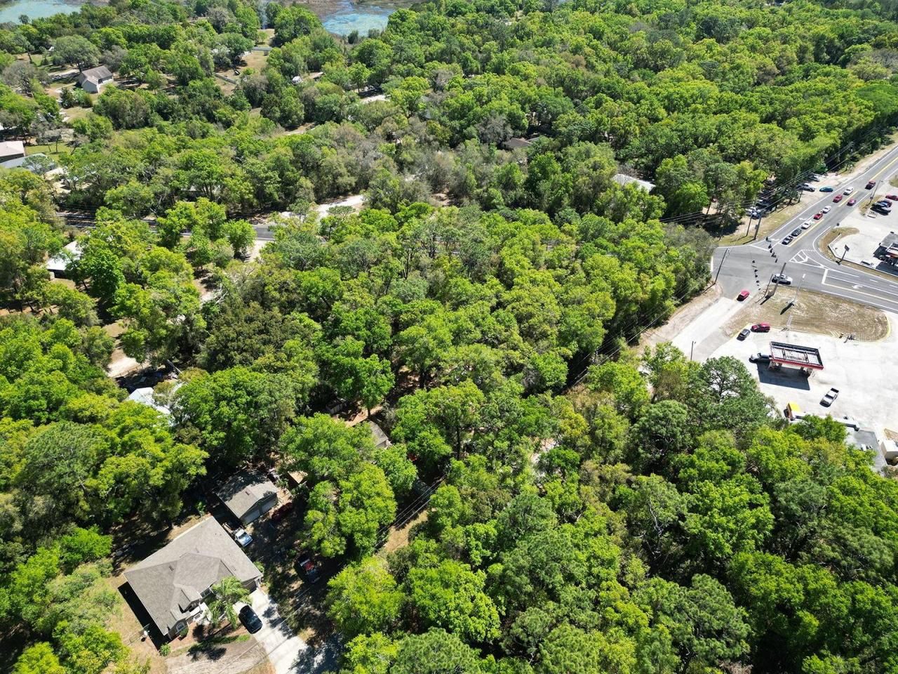 Niles Street, Mount Plymouth, FL 32776 Photo