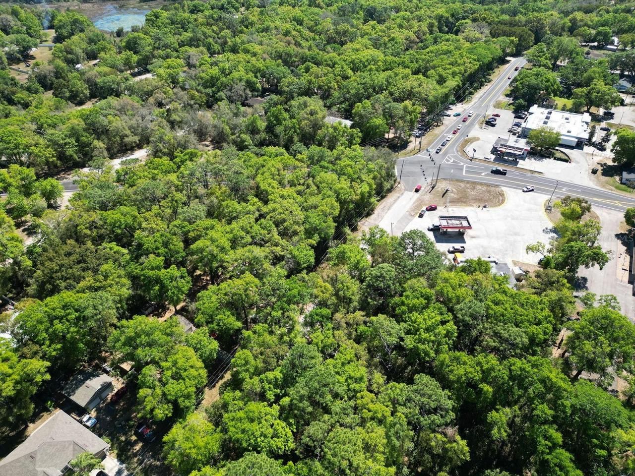 Niles Street, Mount Plymouth, FL 32776 Photo