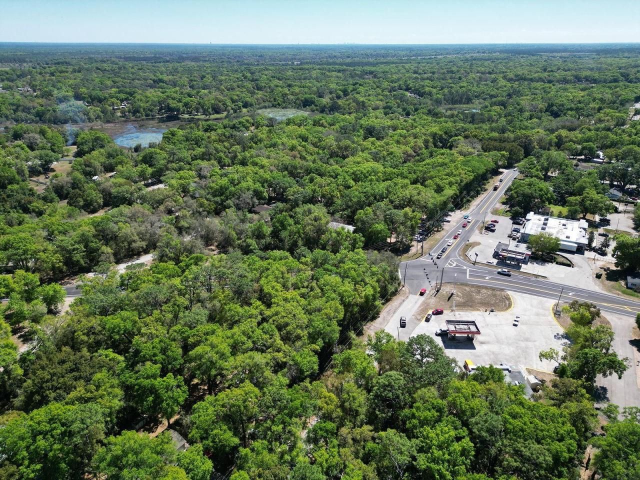 Niles Street, Mount Plymouth, FL 32776 Photo