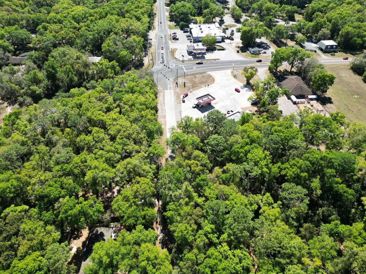 Niles Street, Mount Plymouth, FL 32776 Photo