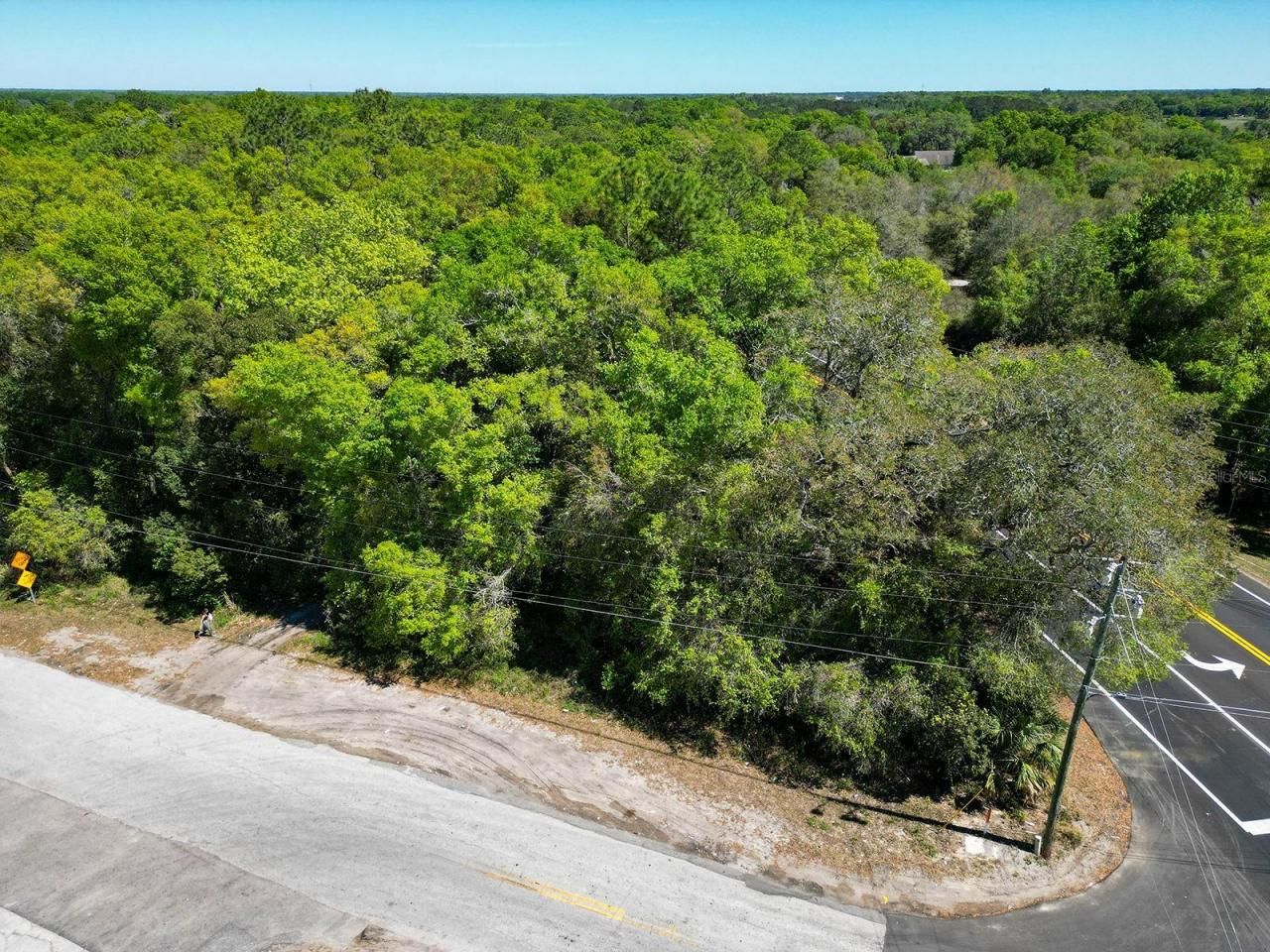 Niles Street, Mount Plymouth, FL 32776 Photo