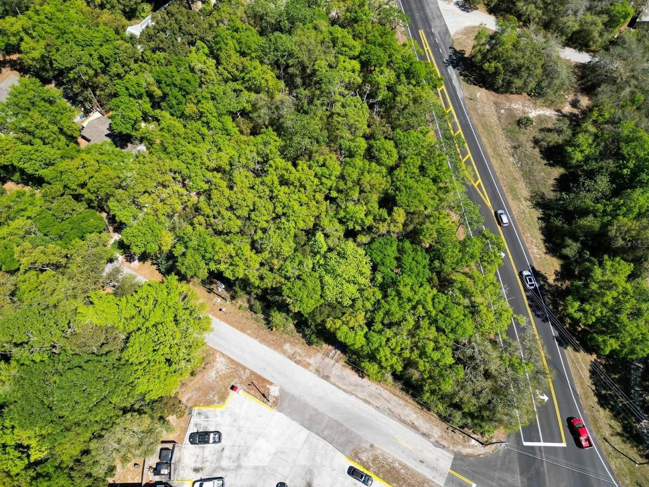 Niles Street, Mount Plymouth, FL 32776 Photo