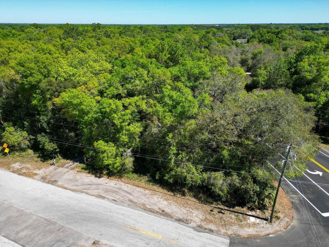 Niles Street, Mount Plymouth, FL 32776 Photo