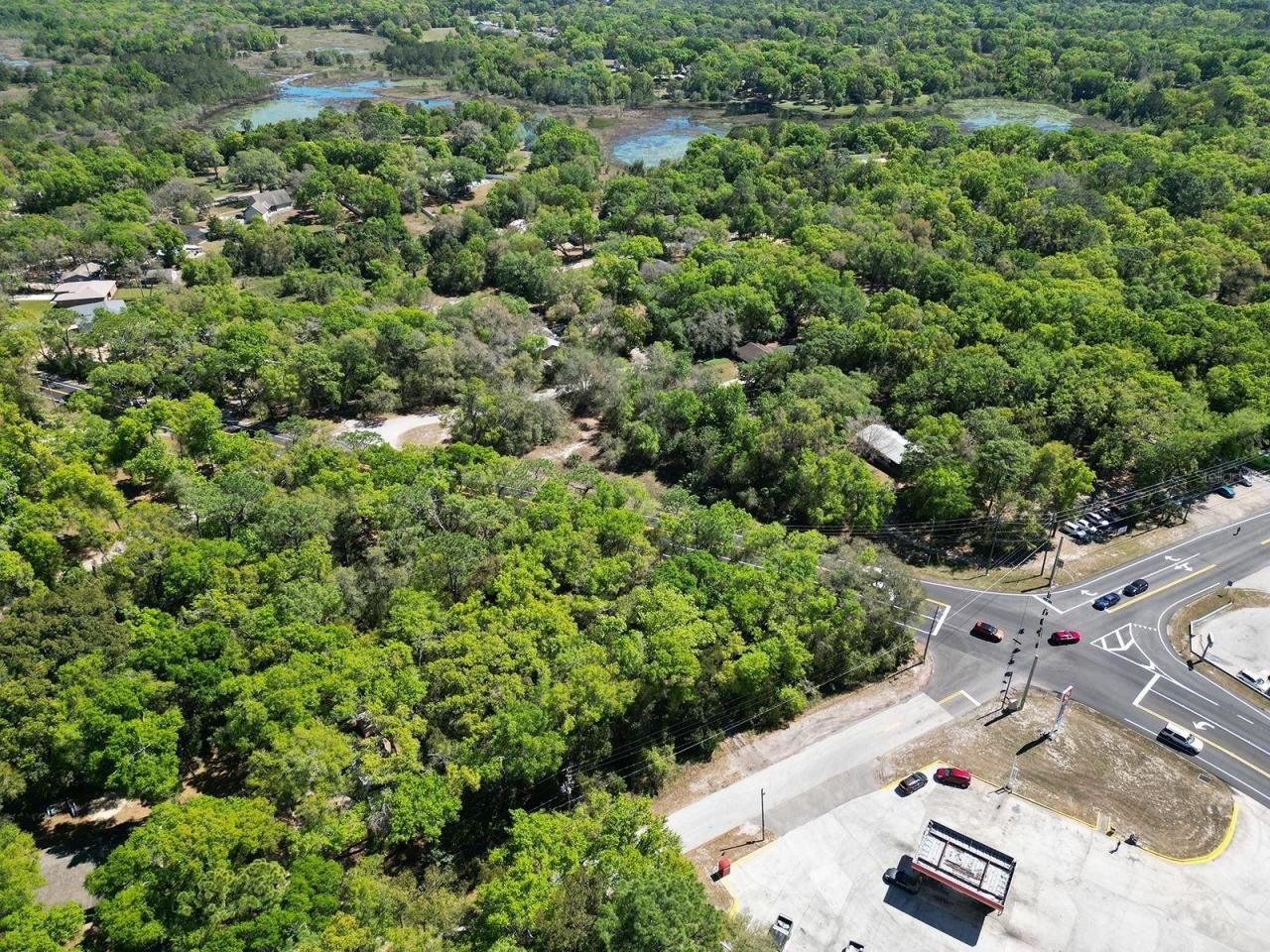 Niles Street, Mount Plymouth, FL 32776 Photo