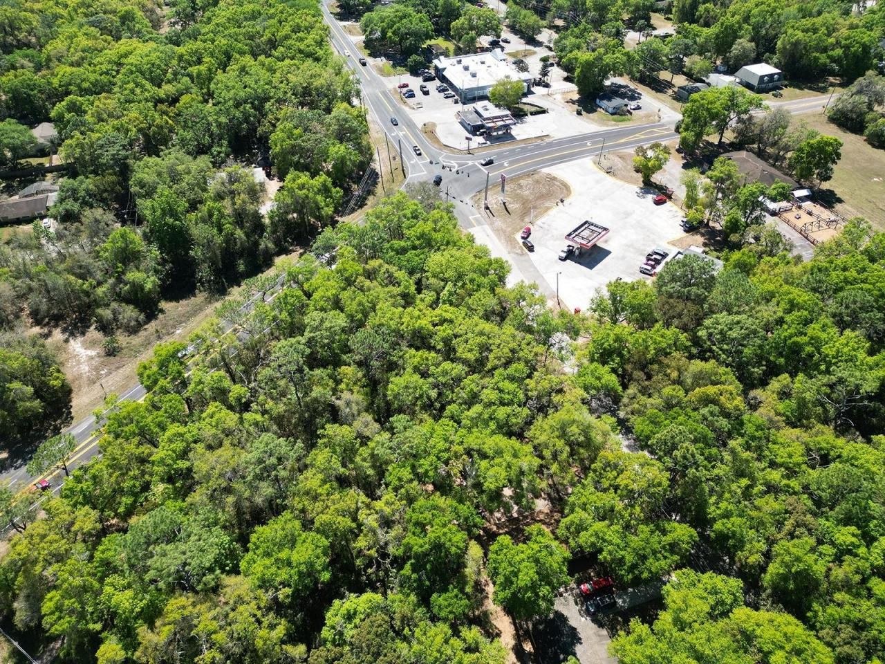 Niles Street, Mount Plymouth, FL 32776 Photo