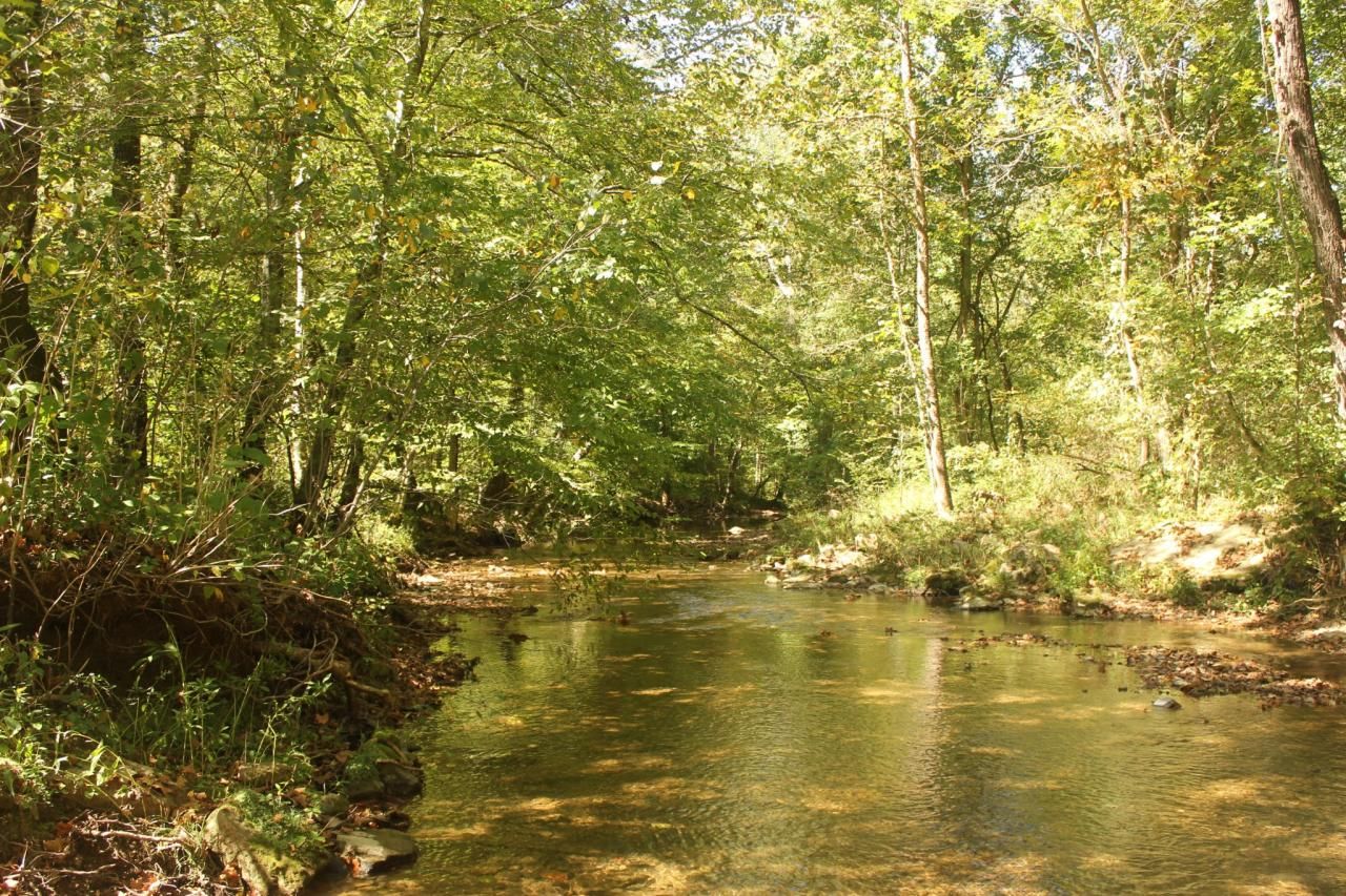 0 Puncheon Creek Rd, Lafayette, TN 37083 Main Photo