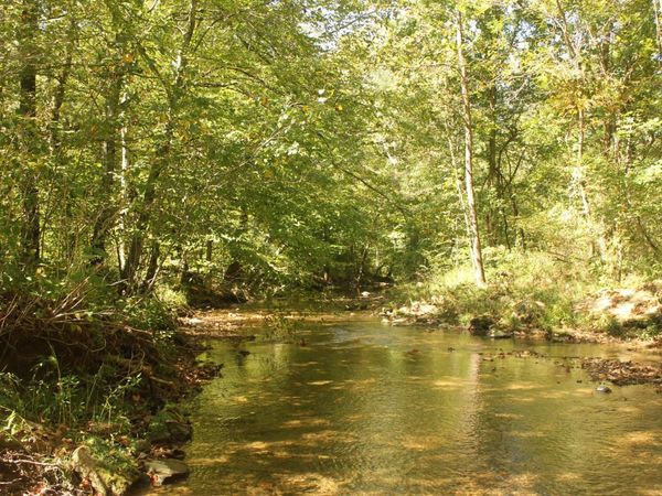 0 Puncheon Creek Rd, Lafayette, TN 37083