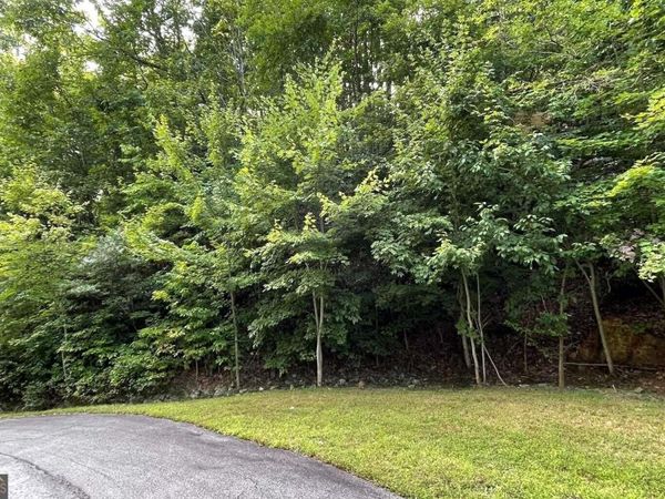 LOT 34 Overlook At Young Harris, Young Harris, GA 30582