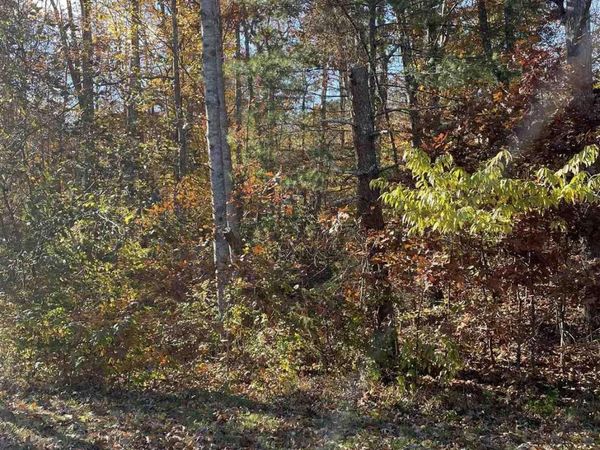 20 CHIPPEWA LN, Palmyra, VA 22963