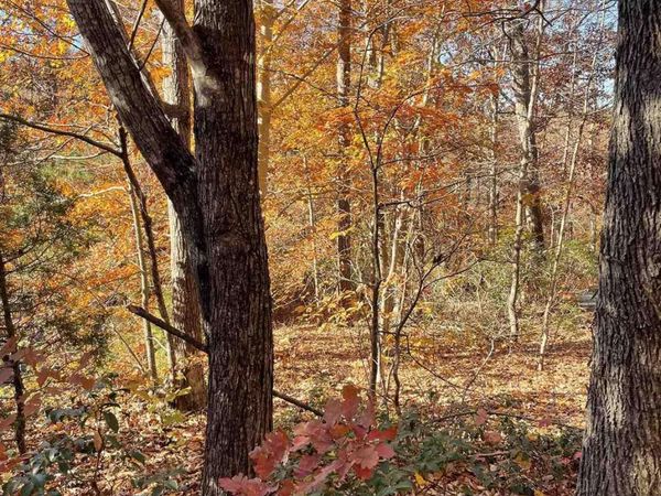 19 CHICKASAW PL, Palmyra, VA 22963