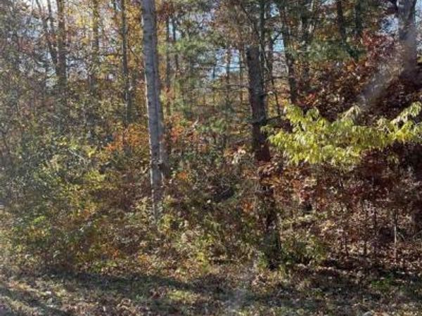 20 CHIPPEWA LN, PALMYRA, VA 22963